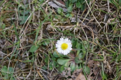 DSC02901