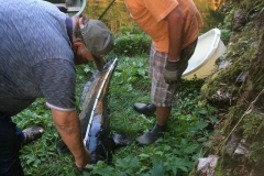 IMG_2177